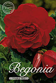 Begonia Double Red met 5 zakjes verpakt a 3 bollen