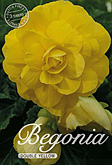 Begonia Double Yellow met 5 zakjes verpakt a 3 bollen