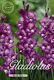 Gladiolus Large Flowering Blue Isle met 5 zakjes verpakt a 10 bollen
