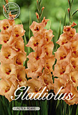 Gladiolus Large Flowering Peter Pears met 5 zakjes verpakt a 10 bollen