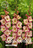 Gladiolus Large Flowering Priscilla met 5 zakjes verpakt a 10 bollen