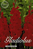 Gladiolus Large Flowering Victor Borge met 5 zakjes verpakt a 10 bollen