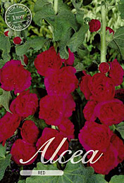 Alcea Rosea Red met 5 zakjes verpakt a 1 bollen