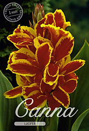 Canna Lucifer met 5 zakjes verpakt a 1 bollen