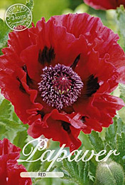 Papaver Red met 5 zakjes verpakt a 3 bollen