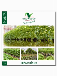 Hydrocultuur brochure (ES)