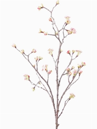 Maple fruit Tak Pink