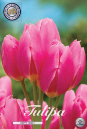 Tulp Happy Family met 5 zakjes verpakt a 7 bollen