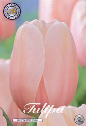 Tulp Salmon Impression met 5 zakjes verpakt a 10 bollen