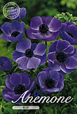 Anemone de Caen Blue met 5 zakjes verpakt a 15 bollen