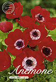 Anemone de Caen Red met 5 zakjes verpakt a 15 bollen