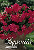 Begonia Pendula Pink met 5 zakjes verpakt a 3 bollen