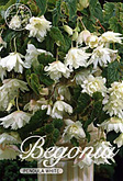 Begonia Pendula White met 5 zakjes verpakt a 3 bollen