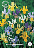 Iris hollandica Mixed met 5 zakjes verpakt a 10 bollen