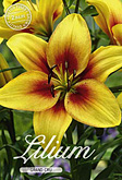Lilium Asiatic Grand Cru met 5 zakjes verpakt a 2 bollen