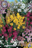 Allium Small Flowering Mixed met 5 zakjes verpakt a 20 bollen