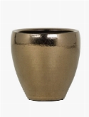 Amora Couple Gold