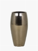 Amora Duo Gold