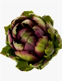 Artichoke Green| Purple