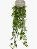 Bamboo Hanging Bush