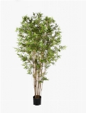 Bamboo Japanese oriental Vertakt