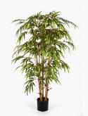 Bamboo Tree