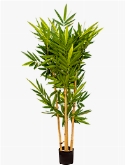 Bamboo Zuil