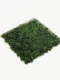 Boxwood Mat