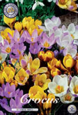 Crocus Botanical Mixed met 5 zakjes verpakt a 20 bollen