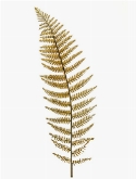 Fern Leather Tak