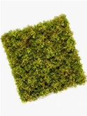 Iceland Moss Mat 0