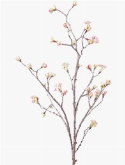 Maple fruit Tak Pink
