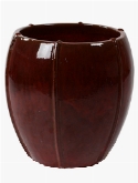 Moda Emperor Classic Red
