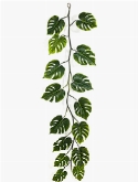 Monstera deliciosa Garland