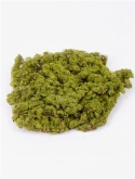 Moss plate Green| Light Brown