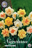 Narcis Double Mixed met 5 zakjes verpakt a 5 bollen