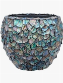 Oceana Abalone Couple Dark Blue (met inzetbak)
