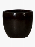 Plain Couple Black Shiny