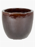 Plain Couple Extra Brown