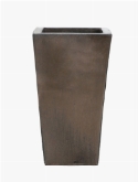 Plain Kubis Sepia