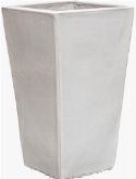 Plain Kubis White