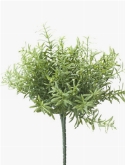 Rosemary Bush