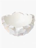 Shell Mother of pearl white