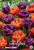 Tulp Bravoure met 5 zakjes verpakt a 10 bollen