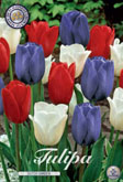 Tulp Dutch Garden met 5 zakjes verpakt a 10 bollen