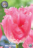 Tulp Fancy Frills met 5 zakjes verpakt a 7 bollen