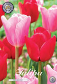Tulp Feeling Love met 5 zakjes verpakt a 10 bollen