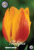 Tulp Flair met 5 zakjes verpakt a 10 bollen
