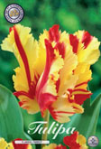 Tulp Flaming Parrot met 5 zakjes verpakt a 7 bollen