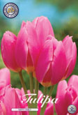 Tulp Happy Family met 5 zakjes verpakt a 7 bollen